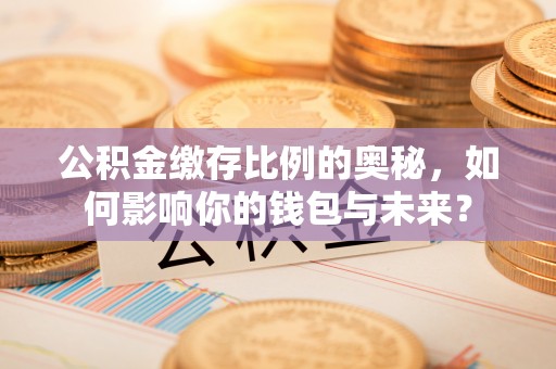 龙陵公积金缴存比例的奥秘，如何影响你的钱包与未来？