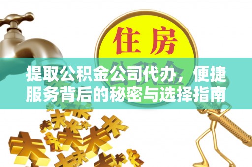 龙陵提取公积金公司代办，便捷服务背后的秘密与选择指南