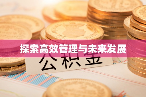 龙陵探索高效管理与未来发展