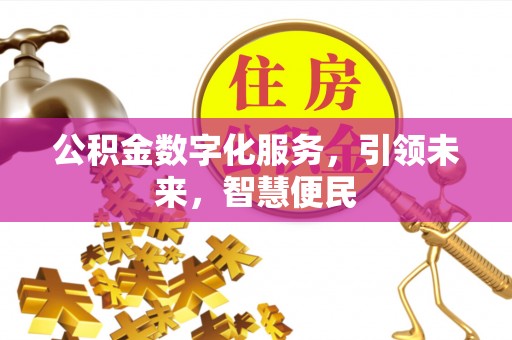龙陵公积金数字化服务，引领未来，智慧便民