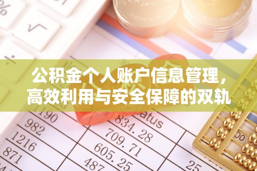龙陵公积金个人账户信息管理，高效利用与安全保障的双轨并行