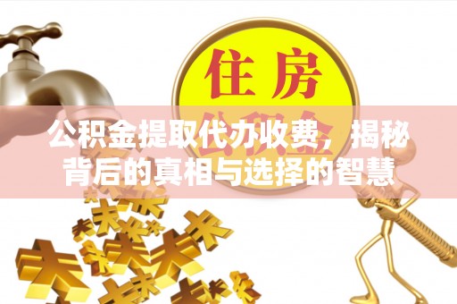 龙陵公积金提取代办收费，揭秘背后的真相与选择的智慧
