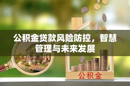 龙陵公积金贷款风险防控，智慧管理与未来发展