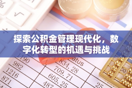 龙陵探索公积金管理现代化，数字化转型的机遇与挑战