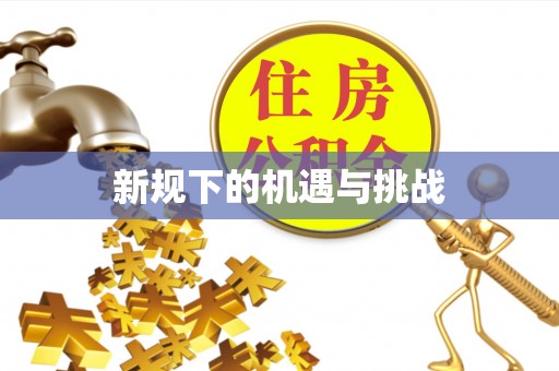 龙陵新规下的机遇与挑战