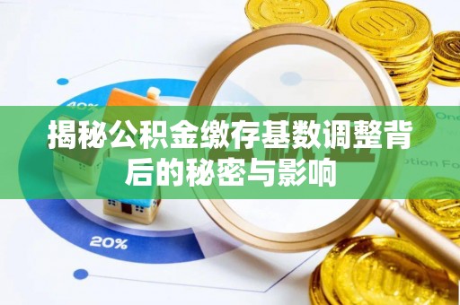 龙陵揭秘公积金缴存基数调整背后的秘密与影响