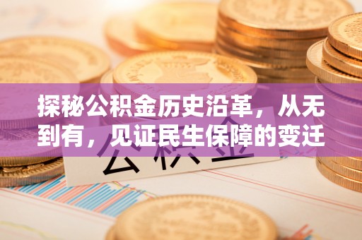 龙陵探秘公积金历史沿革，从无到有，见证民生保障的变迁