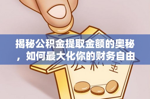 龙陵揭秘公积金提取金额的奥秘，如何最大化你的财务自由