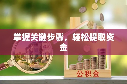 龙陵掌握关键步骤，轻松提取资金