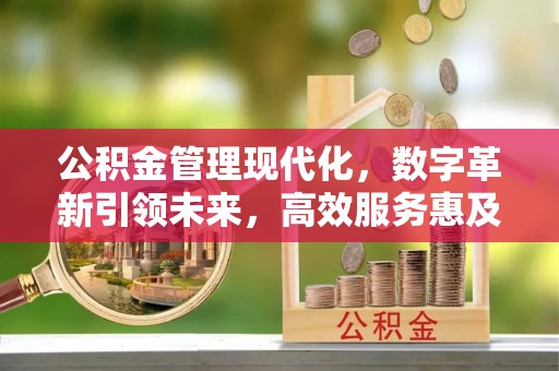 龙陵公积金管理现代化，数字革新引领未来，高效服务惠及民生
