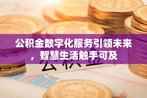 龙陵公积金数字化服务引领未来，智慧生活触手可及