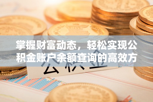 龙陵掌握财富动态，轻松实现公积金账户余额查询的高效方法