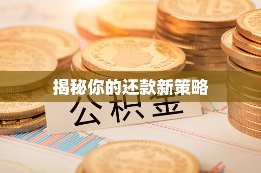 龙陵揭秘你的还款新策略