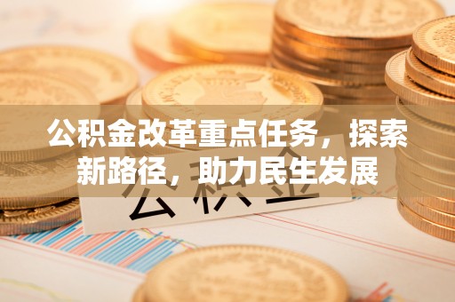 龙陵公积金改革重点任务，探索新路径，助力民生发展
