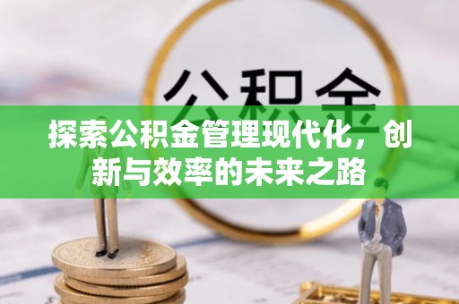 龙陵探索公积金管理现代化，创新与效率的未来之路