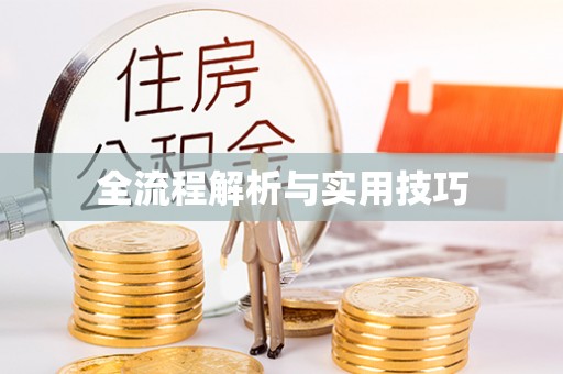 龙陵全流程解析与实用技巧