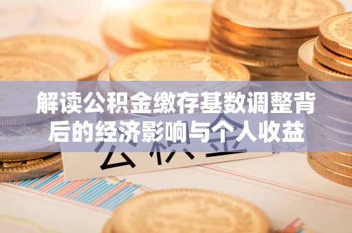 龙陵解读公积金缴存基数调整背后的经济影响与个人收益
