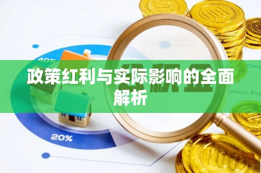 龙陵政策红利与实际影响的全面解析