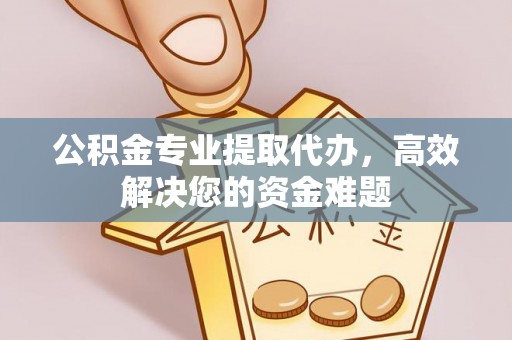 龙陵公积金专业提取代办，高效解决您的资金难题