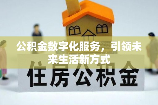 龙陵公积金数字化服务，引领未来生活新方式