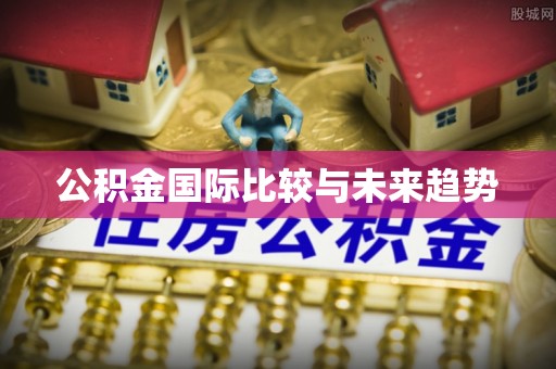 龙陵公积金国际比较与未来趋势