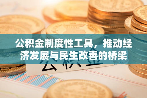 龙陵公积金制度性工具，推动经济发展与民生改善的桥梁