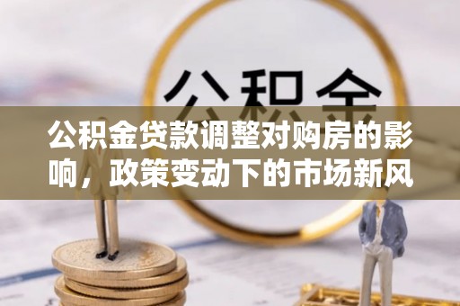 龙陵公积金贷款调整对购房的影响，政策变动下的市场新风向