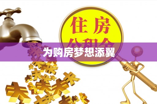 龙陵为购房梦想添翼