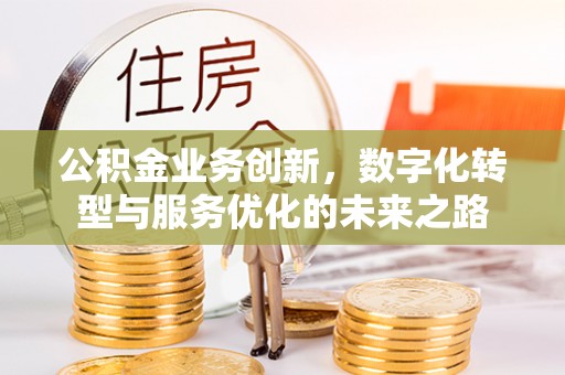 龙陵公积金业务创新，数字化转型与服务优化的未来之路