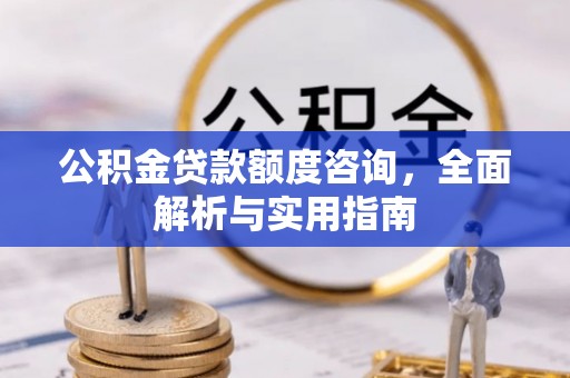 龙陵公积金贷款额度咨询，全面解析与实用指南