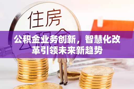 龙陵公积金业务创新，智慧化改革引领未来新趋势