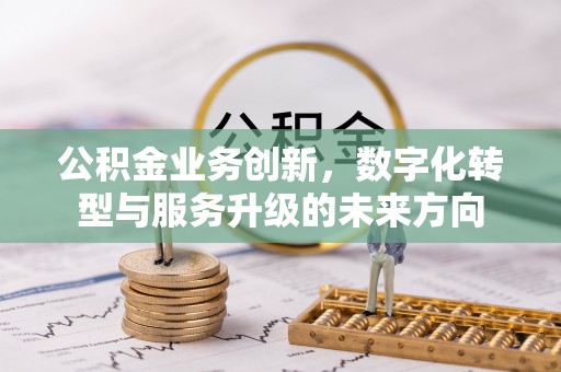 龙陵公积金业务创新，数字化转型与服务升级的未来方向