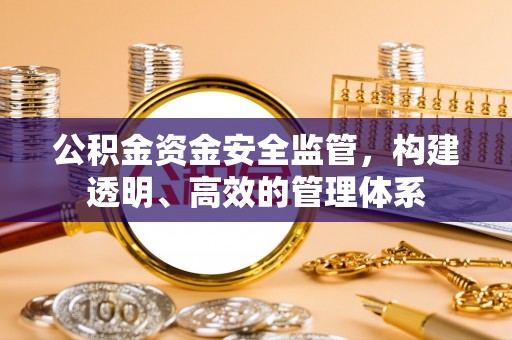 龙陵公积金资金安全监管，构建透明、高效的管理体系