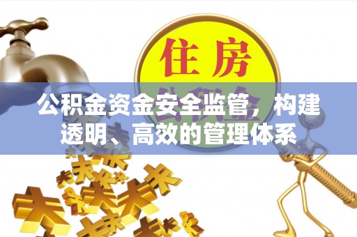 龙陵公积金资金安全监管，构建透明、高效的管理体系