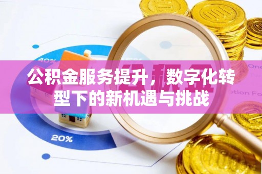 龙陵公积金服务提升，数字化转型下的新机遇与挑战
