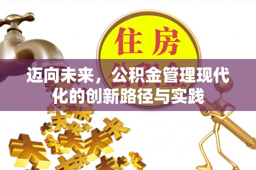 龙陵迈向未来，公积金管理现代化的创新路径与实践
