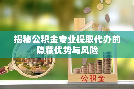 龙陵揭秘公积金专业提取代办的隐藏优势与风险