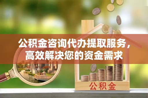 龙陵公积金咨询代办提取服务，高效解决您的资金需求