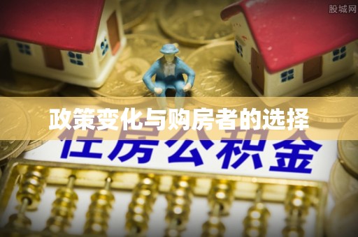 龙陵政策变化与购房者的选择
