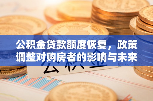 龙陵公积金贷款额度恢复，政策调整对购房者的影响与未来展望