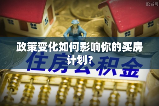 龙陵政策变化如何影响你的买房计划？