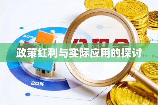 龙陵政策红利与实际应用的探讨