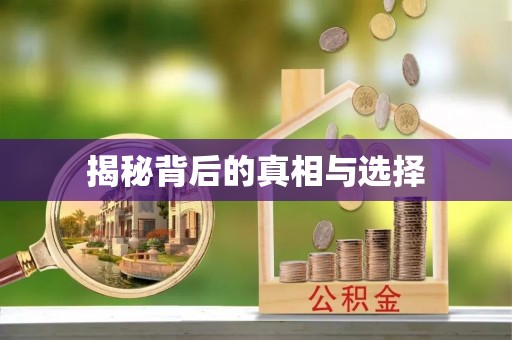 龙陵揭秘背后的真相与选择