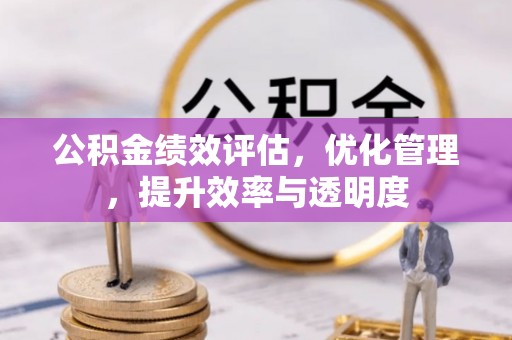 龙陵公积金绩效评估，优化管理，提升效率与透明度