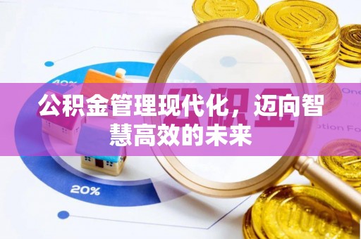 龙陵公积金管理现代化，迈向智慧高效的未来