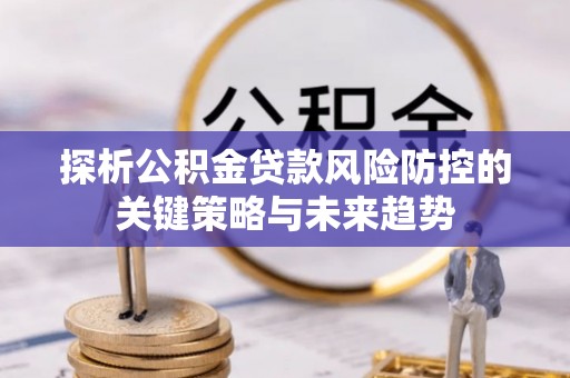 龙陵探析公积金贷款风险防控的关键策略与未来趋势