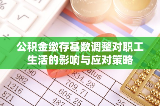 龙陵公积金缴存基数调整对职工生活的影响与应对策略