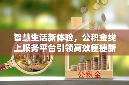 龙陵智慧生活新体验，公积金线上服务平台引领高效便捷新潮流