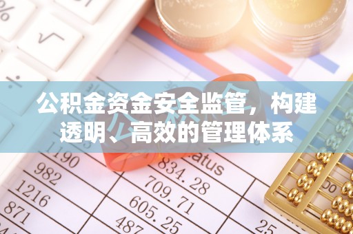 龙陵公积金资金安全监管，构建透明、高效的管理体系