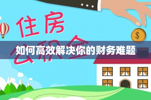 龙陵如何高效解决你的财务难题